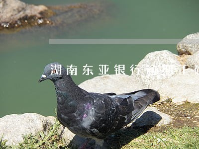湖南东亚银行逾期正确处理方案 湖南东亚银行逾期正确处理方案