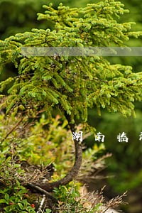 湖南临湘一法院副庭长被撤职 湖南临湘一法院副庭长被撤职