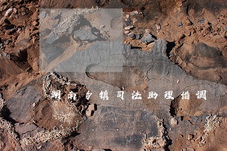 湖南乡镇司法助理借调