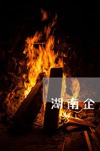 湖南企业法律顾问价格 湖南企业法律顾问价格