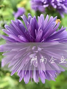 湖南企业负债逾期怎么办 湖南企业负债逾期怎么办