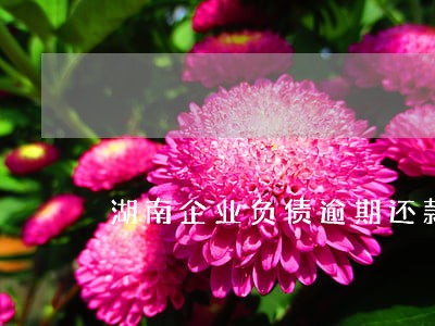 湖南企业负债逾期还款方法 湖南企业负债逾期还款方法