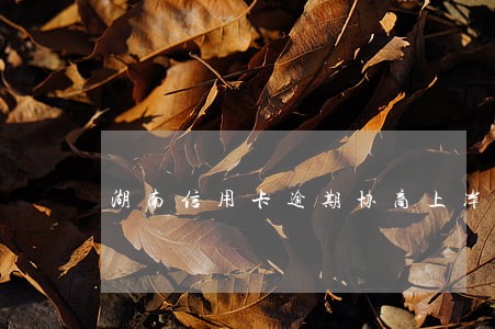 湖南信用卡逾期协商上岸 湖南信用卡逾期协商上岸