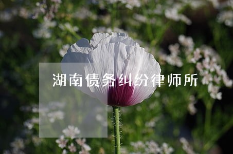 湖南债务纠纷律师所 湖南债务纠纷律师所
