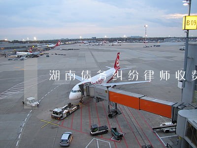 湖南债务纠纷律师收费标准问题 湖南债务纠纷律师收费标准问题