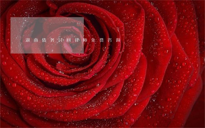 湖南债务讨回律师免费咨询 湖南债务讨回律师免费咨询
