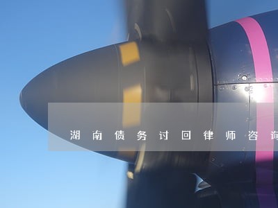 湖南债务讨回律师咨询 湖南债务讨回律师咨询