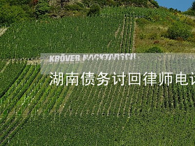 湖南债务讨回律师电话 湖南债务讨回律师电话