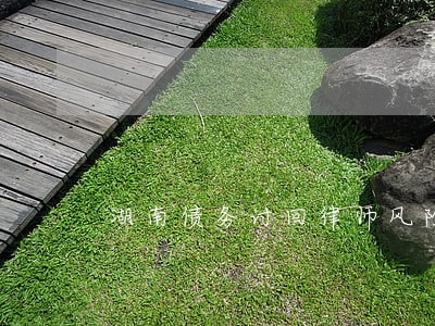 湖南债务讨回律师风险代理 湖南债务讨回律师风险代理