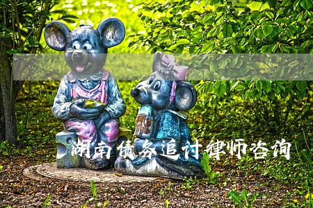 湖南债务追讨律师咨询 湖南债务追讨律师咨询