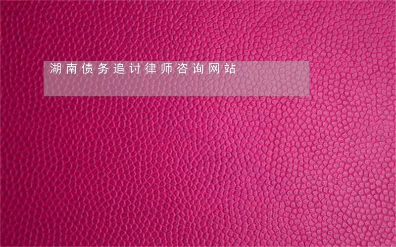 湖南债务追讨律师咨询网站