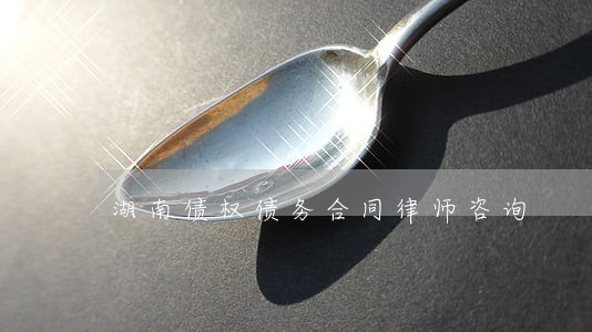 湖南债权债务合同律师咨询 湖南债权债务合同律师咨询