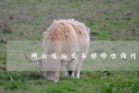 湖南债权债务律师咨询网站 湖南债权债务律师咨询网站