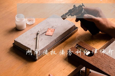 湖南债权债务纠纷律师介绍
