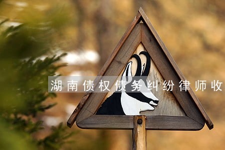湖南债权债务纠纷律师收费 湖南债权债务纠纷律师收费