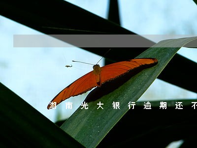 湖南光大银行逾期还不上会起诉吗 湖南光大银行逾期还不上会起诉吗