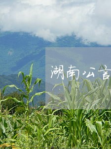 湖南公言律师事务所怎么样 湖南公言律师事务所怎么样