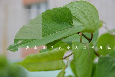湖南农业大学民法考核试卷 湖南农业大学民法考核试卷
