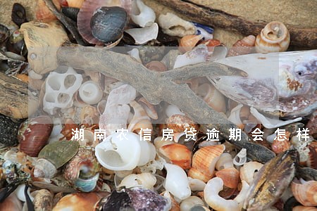 湖南农信房贷逾期会怎样 湖南农信房贷逾期会怎样