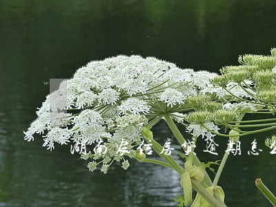 湖南农信房贷逾期怎么缴费 湖南农信房贷逾期怎么缴费