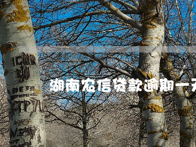 湖南农信贷款逾期一天 湖南农信贷款逾期一天