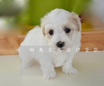 湖南农商银行贷款逾期 湖南农商银行贷款逾期