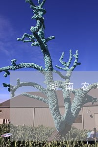 湖南农村信用社信用卡逾期一天