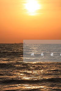 湖南农村信用社已经逾期怎么协商 湖南农村信用社已经逾期怎么协商