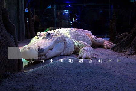 湖南出轨婚姻咨询律师 湖南出轨婚姻咨询律师