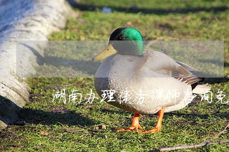 湖南办理债务律师咨询免费 湖南办理债务律师咨询免费