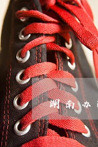 湖南办理债务律师哪个好