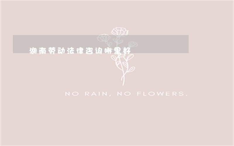 湖南劳动法律咨询哪里好 湖南劳动法律咨询哪里好