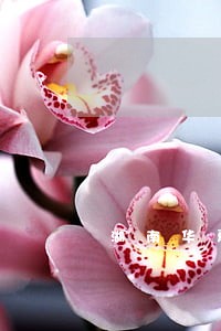 湖南华夏银行逾期怎么处理 湖南华夏银行逾期怎么处理