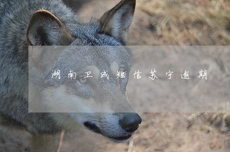 湖南卫成短信苏宁逾期 湖南卫成短信苏宁逾期
