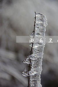 湖南卫成美团逾期审核排期 湖南卫成美团逾期审核排期