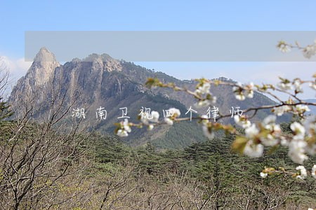 湖南卫视四个律师 湖南卫视四个律师
