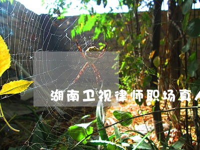 湖南卫视律师职场真人秀 湖南卫视律师职场真人秀