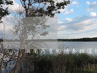 湖南厉害的债务担保律师哪个好 湖南厉害的债务担保律师哪个好