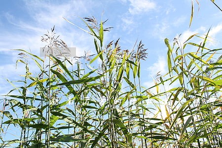 湖南厉害的债权债务律师哪个好 湖南厉害的债权债务律师哪个好