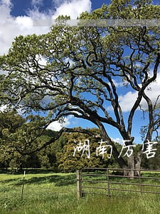 湖南厉害的债权债务律师排名 湖南厉害的债权债务律师排名