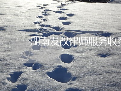湖南发改律师服务收费 湖南发改律师服务收费