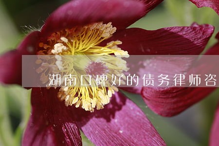 湖南口碑好的债务律师咨询 湖南口碑好的债务律师咨询