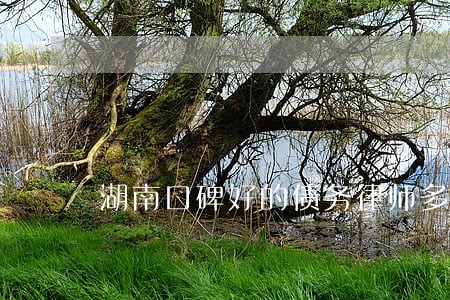 湖南口碑好的债务律师多少钱 湖南口碑好的债务律师多少钱