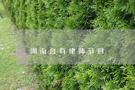 湖南台有律师节目 湖南台有律师节目