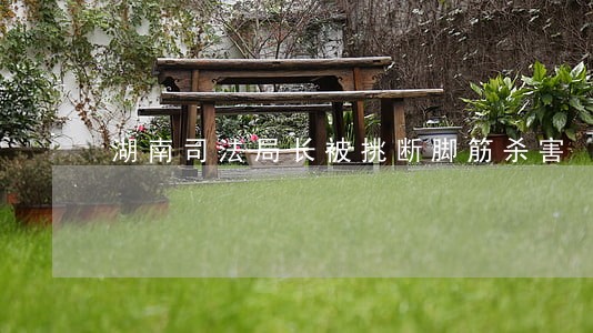 湖南司法局长被挑断脚筋杀害 湖南司法局长被挑断脚筋杀害