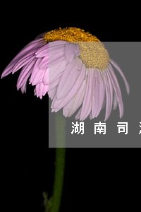湖南司法李铖 湖南司法李铖