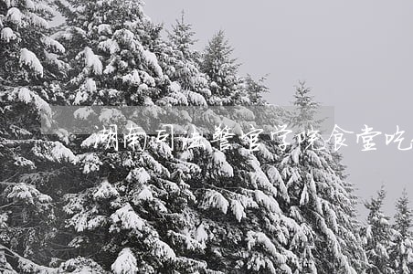 湖南司法警官学院食堂吃饭