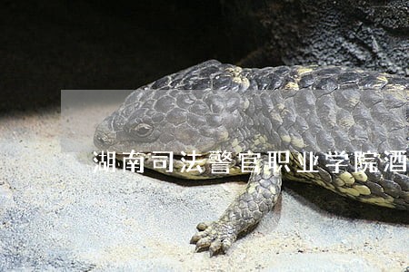 湖南司法警官职业学院酒店 湖南司法警官职业学院酒店