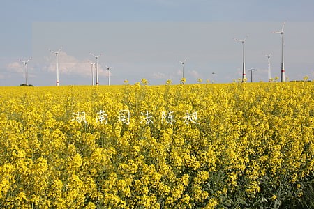 湖南司法陈昶 湖南司法陈昶