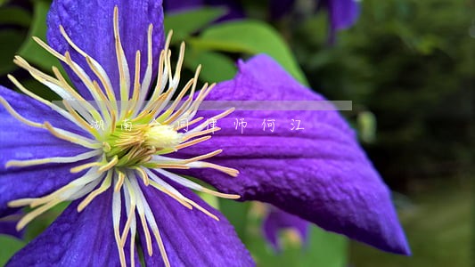 湖南合同律师何江 湖南合同律师何江